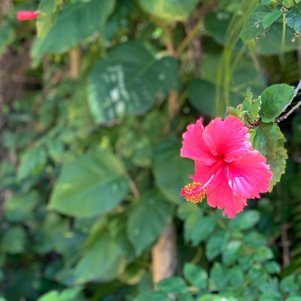 Meet your Posher, Sonia